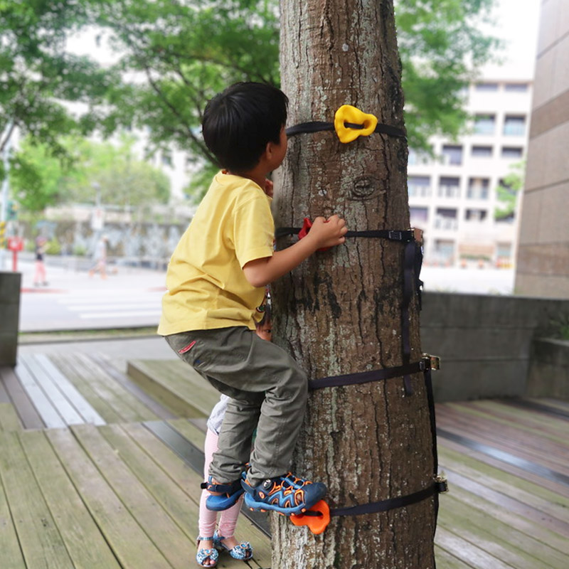 兒童使用專業岩點綁帶進行攀樹挑戰，這不僅訓練上肢肌力，更重要的是培養孩子在自然環境中的風險評估 (Risk Assessment) 與決策判斷力 (Judgment)。